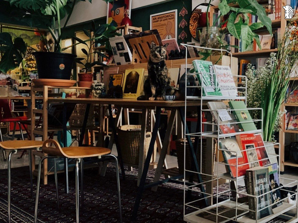 ร้านหนังสืออิสระ Rare Finds Bookstore and Cafe